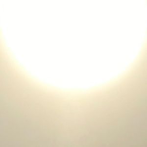 Meet your Posher, Ivan